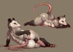 absurd_res alytarch american_opossum anthro anus backsack balls big_balls big_breasts big_butt big_penis blush bodily_fluids breasts butt cum cum_in_ass cum_inside erection fur gaping gaping_anus genital_fluids genitals glistening glistening_genitalia glistening_penis gynomorph hi_res humanoid_genitalia humanoid_penis intersex lucille_(alytarch) mammal marsupial nipples nude penis presenting presenting_anus simple_background slightly_chubby solo spread_anus spread_butt spreading tail thick_thighs virginia_opossum white_body wide_hips
