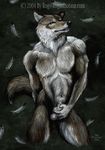  canine dark dog feathers male mammal masturbation penis rog_minotaur sex sheet wolf 