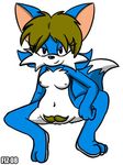  black_nose blue_fur canine facial_hair female fiztheancient fox fur looking_at_viewer mammal mustache navel nude plain_background sitting solo spread_legs spreading what white_background 