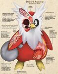  2022 ambiguous_gender anatomy anthro beak beak_closed biological_illustration biped black_eyes christopher_stoll copyright_name cross_section delibird digital_drawing_(artwork) digital_media_(artwork) english_text front_view full-length_portrait generation_2_pokemon hi_res holding_bag looking_aside mouth_closed multicolored_body nintendo paper_background pokemon pokemon_(species) pokenatomy portrait pupils red_body semi-anthro simple_background solo species_name tan_background technical_illustration text twitter_handle white_body white_pupils white_sclera yellow_beak yellow_body 
