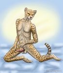  anthro balls barbs black_nose cheepard cheetah erection feline looking_at_viewer male mammal muscles nude penis pose solo spots tapering_penis 