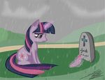  cutie_mark death equine female flower friendship_is_magic grave hair horn horse mammal mourning multi-colored_hair my_little_pony pony purple_body purple_eyes purple_hair rain sad sierraex solo spike_(mlp) twilight_sparkle_(mlp) unicorn 