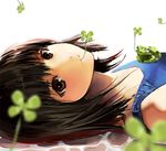 bad_id bad_pixiv_id blurry brown_eyes clover depth_of_field four-leaf_clover frog lying mouth_hold nauribon original solo 