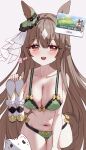  1girl absurdres animal_ears bare_arms bare_shoulders blush boots bra braid breasts brown_eyes brown_hair cameltoe cat cleavage collarbone commentary covered_nipples double-parted_bangs ear_ornament green_bra green_panties hair_between_eyes half_up_braid highres horse_ears horse_girl horse_tail korean_text large_breasts long_hair looking_at_viewer multicolored_hair navel open_mouth panties satono_diamond_(umamusume) smile solo stomach streaked_hair tail tandohark teeth umamusume underwear upper_teeth_only very_long_hair white_boots 