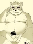 accessory anthro asian_clothing balls blush bodily_fluids canid canine canis clothing clothing_aside domestic_dog east_asian_clothing embarrassed erection eyebrows fundoshi fundoshi_aside genital_fluids genitals headband hi_res japanese_clothing male mammal musashi_(tamacolle) musclegut muscular navel nipples pecs penis precum shiba_inu sitting solo spitz sweat tamacolle thick_eyebrows underwear underwear_aside zuboboz