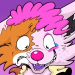 1:1 anthro blue_eyes canid canine cheek_spot clown_makeup clown_nose clown_transformation clown_wig excited_expression fox front_view frown fur hair hi_res mammal mid_transformation orange_body orange_fur pink_body pink_fur pink_hair pink_nose purple_tongue round_nose sharp_teeth smile solo split_face teeth tongue transformation trevor-fox worried_look