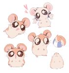  :3 absurdres animal_ears animal_focus blush_stickers commentary english_commentary hamster hamster_boy hamster_ears hamster_girl hamtaro hamtaro_(series) highres multiple_views no_humans orange_fur revauri ribbon_(hamtaro) sad simple_background very_big_eyes whiskers white_background white_fur 