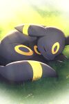 2026 2:3 3_toes ambiguous_feral ambiguous_gender black_body black_ears black_fur black_nose black_tail blue_flower canid canine day digital_media_(artwork) digitigrade eeveelution eyes_closed feet feral flower fur generation_2_pokemon grass hi_res light light_beam lighting lying mammal markings multicolored_body multicolored_ears multicolored_fur nintendo on_side outside plant pokemon pokemon_(species) quadruped ring_(marking) rumine shaded sleeping snout solo sunbeam sunlight tail toes two_tone_body two_tone_ears two_tone_fur two_tone_tail umbreon yellow_body yellow_ears yellow_flower yellow_fur yellow_tail