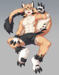 abs absurd_res anthro black_body black_bottomwear black_claws black_clothing black_fur black_pawpads black_shorts bottomwear cheek_tuft claws clothed clothing colored digital_drawing_(artwork) digital_media_(artwork) dragon facial_tuft fangs front_view full-length_portrait fur head_tuft hi_res inner_ear_fluff joeyzliaotang kemono long_tail male male_anthro muscular mythological_creature mythological_scalie mythology navel open_mouth open_smile orange_body orange_eyes pawpads pecs portrait scalie shaded shorts shorts_only simple_background sitting smile solo spread_legs spreading tail tan_body teeth topless tuft wingless_dragon