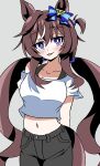  1girl absurdres animal_ears black_pants blue_eyes blush breasts brown_hair collarbone commentary_request hair_between_eyes highres horse_ears horse_girl horse_tail long_hair looking_at_viewer medium_breasts midriff mole mole_under_eye multicolored_hair navel off-shoulder_shirt off_shoulder pants shirt simple_background smile solo streaked_hair tail tongue tongue_out twintails umamusume vivlos_(umamusume) white_shirt ziromaru765 