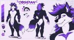 2025 abs anthro artist_name biceps black_arms black_body black_eyebrows black_fur black_hair black_legs black_nose bust_portrait canid canine canis claws color_swatch cutaway dipstick_tail english_text eyebrows eyelashes fangs fluffy fluffy_hair fluffy_tail front_view fur geometric_background grid_background hair happy hi_res humanoid_hands inner_ear_fluff looking_at_viewer male mammal markings medium_hair model_sheet mouth_closed multicolored_body multicolored_fur multicolored_tail multiple_angles muscular muscular_male nliiz obsidian_(faronthefox) pattern_background pawpads pecs plantigrade pointy_ears portrait prick_ears pronouns purple_body purple_eyes purple_fur purple_hair purple_pawpads purple_tongue rear_view simple_background smile solo standing tail tail_markings teeth text toe_claws tongue toothy_grin tuft white_body white_chest white_claws white_face white_fur white_neck white_paws wolf