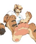 4_toes 5_fingers absurd_res anthro black_bottomwear black_claws black_clothing black_markings black_shorts blonde_hair bottomwear claws clothing colored_sketch eyebrows feet felid fingers foot_focus fur hair hand_on_knee hand_on_leg hi_res humanoid_feet joeyzliaotang kemono looking_at_viewer low-angle_view male mammal markings multicolored_body multicolored_fur orange_body orange_eyes orange_fur pantherine pawpads pink_pawpads plantigrade shirt short_hair shorts simple_background sitting sketch smile solo striped_body striped_fur stripes tail tan_body tan_fur thick_eyebrows tiger toes topwear white_background white_clothing white_shirt white_topwear