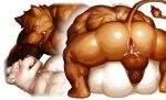 all_fours anal anal_penetration anthro anus backsack balls bear big_balls big_penis black_penis blush bodily_fluids brown_body cum cum_from_ass cum_in_ass cum_inside duo erection fangs foreskin from_front_position genital_fluids genitals half-closed_eyes hi_res humanoid_genitalia humanoid_penis licking licking_lips lying male male/male mammal mating_press multiple_angles multiple_scenes muscular muscular_male narrowed_eyes nude nunudodo on_back penetration penile penile_penetration penis penis_between_buttocks penis_in_ass rear_view retracted_foreskin saliva saliva_string sex side_view signature simple_background smile smirk suid suine sus_(pig) teeth tongue tongue_out vein veiny_penis white_background white_body wild_boar