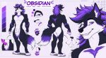 2025 abs animal_genitalia animal_penis anthro anus artist_name balls biceps big_balls black_arms black_body black_eyebrows black_fur black_hair black_legs black_nose bust_portrait canid canine canine_genitalia canine_penis canis claws color_swatch cutaway dipstick_tail english_text eyebrows eyelashes fangs fluffy fluffy_hair fluffy_tail front_view fully_sheathed fur genitals geometric_background grid_background hair happy hi_res humanoid_hands inner_ear_fluff knot looking_at_viewer male mammal markings medium_hair model_sheet mouth_closed multicolored_body multicolored_fur multicolored_tail multiple_angles muscular muscular_male nliiz obsidian_(faronthefox) pattern_background pawpads pecs penis penis_tip plantigrade pointy_ears portrait prick_ears pronouns purple_anus purple_body purple_eyes purple_fur purple_hair purple_pawpads purple_penis purple_tongue raised_tail rear_view sheath simple_background smile solo standing tail tail_markings teeth text toe_claws tongue toothy_grin tuft white_body white_chest white_claws white_face white_fur white_neck white_paws wolf