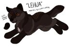 2026 ambiguous_gender black_body black_fur black_nose black_text brown_eyes canid canine canis character_name digital_drawing_(artwork) digital_media_(artwork) digitigrade english_text feral flat_colors fur grey_body grey_fur handwritten_text hi_res hybrid maligaytor mammal model_sheet paws simple_background snout solo tail text white_background wolfdog