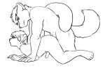 2016 anal anal_penetration animal_genitalia animal_penis animated animated_gif anthro canid canine canine_genitalia canine_penis canis digital_media_(artwork) domestic_dog duo erection genitals humanoid_genitalia humanoid_penis husky knot knotted_penis loop male male/male male_penetrated male_penetrating male_penetrating_male mammal monochrome nordic_sled_dog nude open_mouth penetration penis redpixie sex short_playtime spitz steelfire zhao_fang