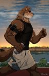  2019 anthro biceps canid canine canis clothing digital_media_(artwork) fur hi_res kemono male mammal muscular scar shirt shorts solo ssu_open tank_top wolf 