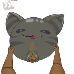 1:1 crane_(artist) disembodied_hand disembodied_penis duo female feral first_person_view genitals heart_eyes heart_symbol hi_res holding_partner human internal looking_at_viewer male male/female male_pov mammal penetration penis simple_background slime_(slime_rancher) slime_rancher tabby_slime tongue tongue_out translucent vaginal vaginal_penetration white_background