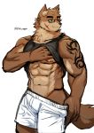  2019 anthro biceps canid canine canis clothing digital_media_(artwork) eyewear fur glasses hi_res kemono male mammal muscular nipples scar solo ssu_open tattoo wolf 