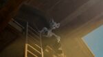 16:9 3d_(artwork) anthro barn betterbeans_(artist) bikini bikini_top boots clothed clothing cowboy_hat digital_media_(artwork) dust ear_piercing ear_ring female footwear hat headgear headwear hi_res holding_clothing holding_hat holding_headgear holding_headwear holding_object ladder light light_beam looking_at_viewer looking_down low-angle_view mammal murid murine officer_flint_(foresttherotten) piercing rat ring_piercing rodent shoes sky smile smiling_at_viewer solo sunbeam sunlight swimwear two-piece_swimsuit widescreen window