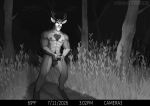 anthro antlers balls bodily_fluids cum deer dogtober genital_fluids genital_piercing genitals horn male mammal masturbation monochrome muscular muscular_anthro muscular_male nipple_piercing nipples nude penis penis_piercing piercing solo standing stroking_penis trail_cam white_eyes