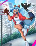 anthro ariaasimov avian backboard basketball_hoop bird black_body blue_hair bottomwear brand_new_animal brown_ears brown_markings canid canine chain-link_fence city city_background claws clothed clothing corvid corvus_(genus) crow dark_ears dipstick_hair dipstick_tail facial_markings female fence feral finger_claws footwear gloves_(marking) hair head_markings hi_res jacket leg_markings mammal markings mask_(marking) michiru_kagemori open_clothing open_jacket open_mouth open_smile open_topwear oscine passerine pink_tongue plant raccoon_dog red_clothing red_jacket red_topwear shirt shoes shorts shrub smile socks_(marking) solo studio_trigger tail tail_markings tan_body tank_top tanuki teeth tongue topwear white_clothing white_shirt white_tank_top white_topwear