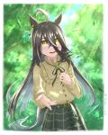  1girl absurdres ahoge animal_ears belt black_belt black_hair black_ribbon blush casual commentary_request earrings forest frilled_shirt frills gentiano815 hair_between_eyes highres horse_ears horse_girl horse_tail jewelry long_hair long_hair_between_eyes long_sleeves manhattan_cafe_(casual)_(umamusume) manhattan_cafe_(umamusume) multicolored_hair nature neck_ribbon open_mouth outdoors ribbon shirt shirt_tucked_in single_earring skirt smile solo tail tree umamusume white_hair yellow_eyes yellow_shirt 