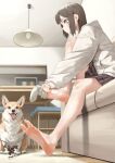  1girl absurdres bare_legs barefoot brown_eyes brown_hair commentary_request couch dog feet foot_focus foreshortening highres hood hoodie indoors knee_up legs looking_ahead maburoku medium_hair on_couch original plaid_clothes plaid_skirt putting_on_legwear signature sitting skirt sleeves_past_wrists socks soles solo toenails toes toes_up twitter_username welsh_corgi white_hoodie white_socks 