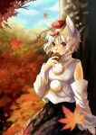  1girl animal_ear_fluff animal_ears arm_support autumn_leaves bare_shoulders black_skirt blue_sky commentary_request cowboy_shot day detached_sleeves eating falling_leaves food grey_hair hat highres holding holding_food inubashiri_momiji leaf leaf_print looking_at_viewer maple_leaf maple_leaf_print momiji_manjuu outdoors pom_pom_(clothes) print_skirt red_eyes red_hat red_skirt reoneko05 ribbon-trimmed_sleeves ribbon_trim shirt short_hair skirt sky sleeveless sleeveless_shirt solo tokin_hat touhou two-tone_skirt white_shirt wide_sleeves wolf_ears wolf_girl 