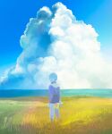  1boy blue_sky bouquet closed_mouth cloud commentary_request cumulonimbus_cloud day field gundam highres holding holding_bouquet jacket kai_shiden long_sleeves looking_back male_focus mi_(rokudenashi) military_uniform mobile_suit_gundam outdoors science_fiction sky wide_shot 