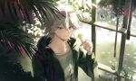  1boy absurdres clover collarbone commentary_request danganronpa_(series) danganronpa_2:_goodbye_despair day eyes_visible_through_hair four-leaf_clover green_jacket greenhouse grey_eyes hair_between_eyes happy highres holding holding_clover hood hood_down hooded_jacket indoors jacket komaeda_nagito light_particles long_hair_between_eyes long_sleeves looking_at_viewer male_focus messy_hair open_clothes open_jacket palm_leaf papu_(papu1006) shirt short_hair solo tsurime upper_body white_hair white_shirt window 