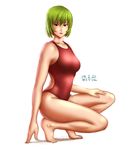  barefoot breasts competition_swimsuit dated full_body green_hair kazami_yuuka large_breasts one-piece_swimsuit red_eyes red_swimsuit short_hair solo squatting swimsuit taikyokuturugi touhou 