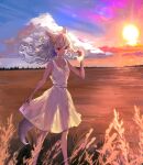  1girl absurdres alpha_(alpha_1918) animal_ear_fluff animal_ears bad_source bare_shoulders braid breasts cloud dress erroten field floating_hair hair_ribbon hand_in_own_hair highres light_particles long_hair looking_at_viewer original red_eyes ribbon sash scenery see-through_clothes see-through_dress see-through_silhouette shiny_skin single_braid small_breasts smile solo sundress sunlight sunset tail waist_sash white_dress white_hair white_sash wolf_ears wolf_girl wolf_tail 