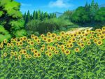  blue_sky cloud day field flower game_asset grass no_humans non-web_source official_art outdoors self-datamine sky subarashiki_hibi sunflower tree variant_set 