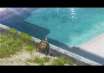  absurdres animal animal_focus building canal commentary_request grass highres no_humans original outdoors shell shore sumassha_t_t summer sunlight tortoise turtle turtle_shell urban water 