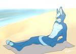  4_toes anthro beach blue_eyes blue_fur ear_piercing fur lagomorph lost-paw male mammal navel nude piercing pink_nose rabbit sand seaside sheet solo toes water white_fur 