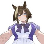  1girl animal_ears blue_eyes blush bow bowtie breasts brown_hair cheval_grand_(umamusume) closed_mouth commentary_request from_below hair_between_eyes horse_ears horse_girl large_breasts multicolored_hair nanasedayoxd pleated_skirt puffy_short_sleeves puffy_sleeves purple_bow purple_bowtie purple_shirt sailor_collar sailor_shirt school_uniform shirt short_hair short_sleeves simple_background skirt solo streaked_hair tracen_school_uniform umamusume white_hair white_sailor_collar white_skirt 