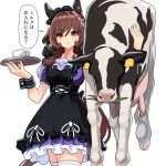  1girl animal_ears apron black_apron black_headdress black_wrist_cuffs blush bow braid braided_hair_rings breasts brown_hair commentary_request cow cup ear_covers ear_ornament gentildonna_(umamusume) hair_between_eyes hair_ornament hair_rings heart-shaped_ornament heart_ear_ornament holding holding_tray horse_ears horse_girl horse_tail large_breasts long_hair looking_at_viewer maid maid_apron maid_headdress nieto_tokage open_mouth pleated_skirt puffy_short_sleeves puffy_sleeves purple_bow purple_shirt red_eyes sailor_collar sailor_shirt school_uniform shirt short_sleeves simple_background skirt speech_bubble tail thighhighs tracen_school_uniform translation_request tray umamusume white_sailor_collar white_skirt white_thighhighs wrist_cuffs 