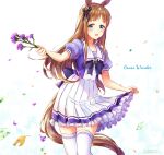  1girl animal_ears blue_eyes blush bow bowtie breasts brown_hair character_name collarbone commentary ear_bow ear_ribbon flower grass_wonder_(umamusume) highres holding holding_flower holding_own_skirt horse_ears horse_girl horse_tail long_hair looking_at_viewer multicolored_hair open_mouth pleated_skirt puffy_short_sleeves puffy_sleeves purple_bow purple_bowtie purple_shirt sailor_collar sailor_shirt school_uniform shirt short_sleeves skirt smile solo tail tanuki_maisnam thighhighs tracen_school_uniform umamusume white_hair white_sailor_collar white_skirt white_thighhighs 