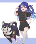  1girl ahoge amamiya_kokoro ball baseball_(object) baseball_jersey baseball_uniform bell belt black_ribbon black_shirt black_shorts blue_hair commentary_request dog double-parted_bangs full_body hair_bell hair_bobbles hair_ornament hair_ribbon highres jersey jingle_bell kuroi_shiba leg_tattoo long_hair natsuhiko nijisanji nijisanji_koshien over-kneehighs raised_inner_eyebrows red_belt ribbon running shirt shoes shorts simple_background sneakers sportswear tattoo tearing_up thighhighs two_side_up virtual_youtuber white_shoes white_thighhighs x_hair_ornament yellow_eyes 