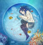  blue_eyes blue_hair coral fish hacco highres hiradaira_chisaki long_hair lying nagi_no_asukara on_side red_string sea_slug string thighhighs 
