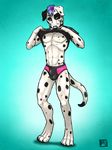  anthro biceps black_nose blue_eyes blue_hair briefs bulge canine clothing collar dalmatian digitigrade dog hair looking_at_viewer male mammal muscles pawnytail pecs purple_hair rubber shirt shirt_lift solo spots standing toned topless tsaiwolf two_tone_hair underwear undressing 
