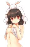  animal animal_ears animal_on_head bad_id bad_pixiv_id black_hair blush breasts bunny bunny_ears highres inaba_tewi looking_at_viewer medium_breasts navel on_head red_eyes shirt_lift short_hair simple_background solo touhou underboob white_background x&amp;x&amp;x 