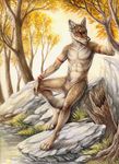  anthro black_nose bodypaint canine claws coyote digitigrade forest fur grass hindpaw leaning loincloth looking_at_viewer male mammal nature navel off_the_beaten_path outside paws piercing ransom river rock rukis solo standing tan_fur topless tree tribal tribal_markings 