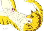  anthro balls biceps blush censored erection feline fur lying male mammal morenatsu nude open_mouth penis rotton solo spreading stripes strips tiger torahiko_ooshima 