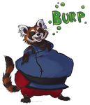  anthro bear bubble burping female gas invalid_background invalid_color mammal obese overweight perxio plain_background proud red_panda rocket_raccoon solo 
