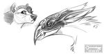  bird dirtiran fur markings monochrome signature sketch 