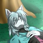  canine dust:_an_elysian_tail dust_(character) eyes_closed grass green_hair hair male mammal raxkiyamato sleeping solo tree video_games wolf 