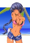  arm_behind_back beach belt bikini black_eyes black_hair breasts cleavage cutoffs dark_skin day denim denim_shorts earrings goroomaru highres jewelry large_breasts long_hair navel ocean open_fly original palm_tree parted_lips ponytail short_shorts shorts sky solo swimsuit tan torn_clothes tree unzipped water 