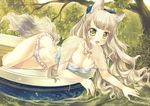  animal_ears bikini blush breasts brown_hair cleavage fox_ears fox_tail grass green_eyes hanakomiti long_hair lying medium_breasts navel on_side original smile solo swimsuit tail tree water 